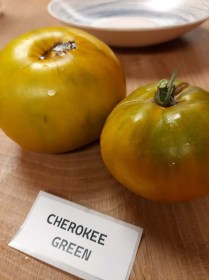 Cherokee Green paradicsom  - Paradicsom különlegességek az Egzotikus Növények Stúdiója kínálatából